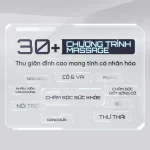Ghế Massage Lifesport LS-379 0