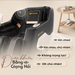 Ghế Massage Lifesport LS-599 SL 16