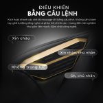Ghế Massage Lifesport LS-681 content