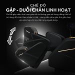 Ghế Massage Lifesport LS-681 content