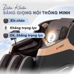 Ghế Massage Lifesport LS-188 content