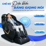 Ghế Massage Lifesport LS-599 SL 1