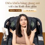 Ghế Massage Lifesport LS-359 SL 20