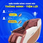 Ghế Massage Lifesport LS-288 SL 13