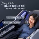 Ghế Massage Lifesport LS-640E SL 18